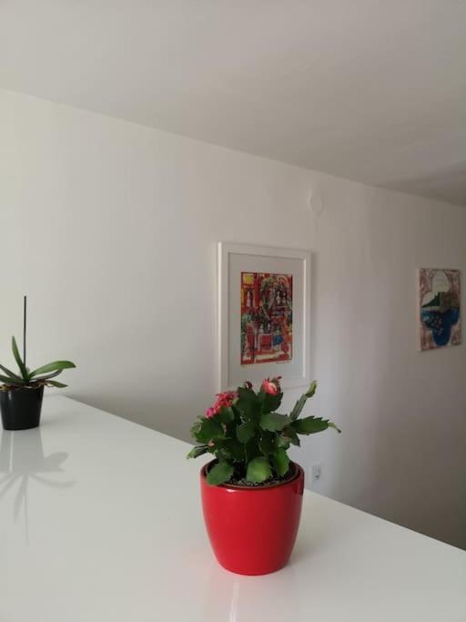 דוברובניק Studio Apartment Ivana - New Sweet Apartment מראה חיצוני תמונה